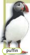 Задание рисунок 1