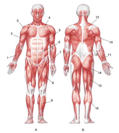 Задание рисунок 2