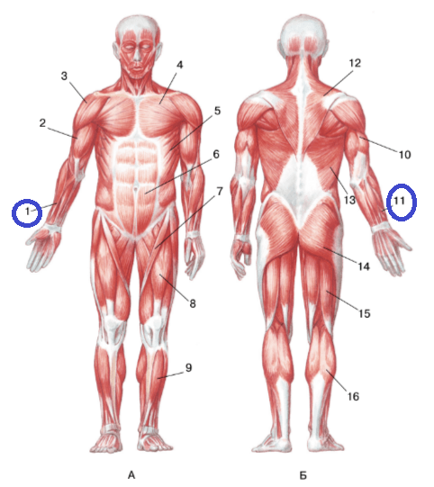 Решение рисунок 1