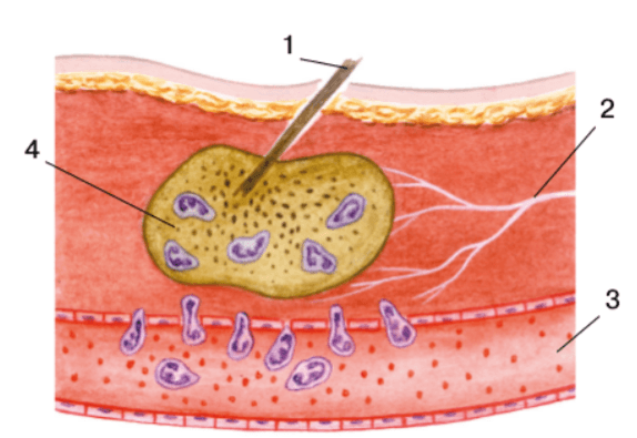 Задание рисунок 1