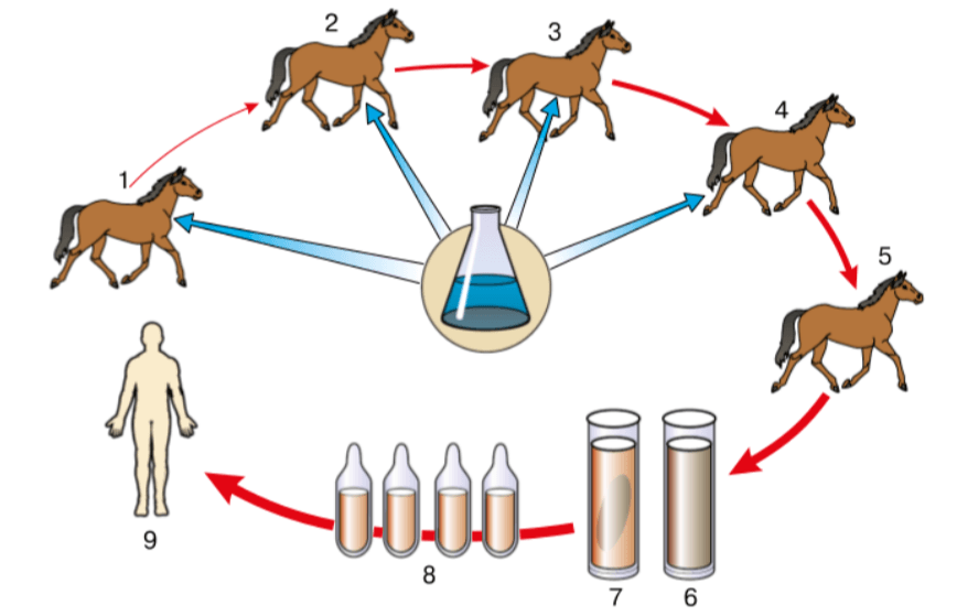 Задание рисунок 1