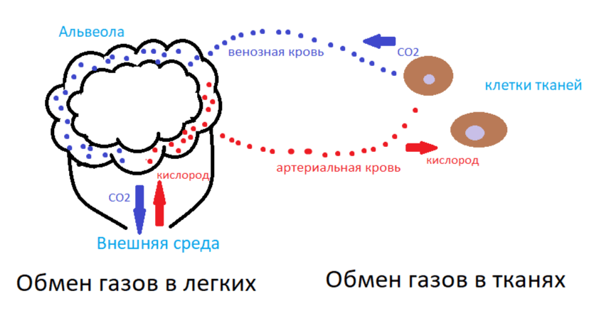 Решение рисунок 1