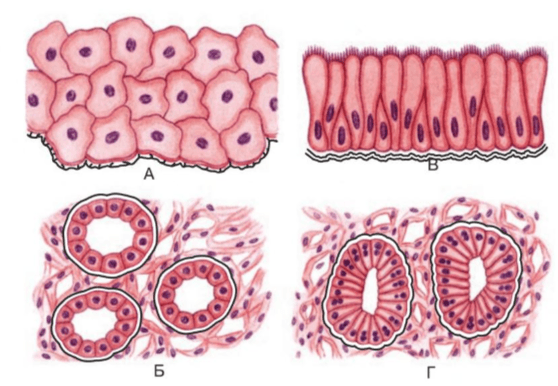 Задание рисунок 1